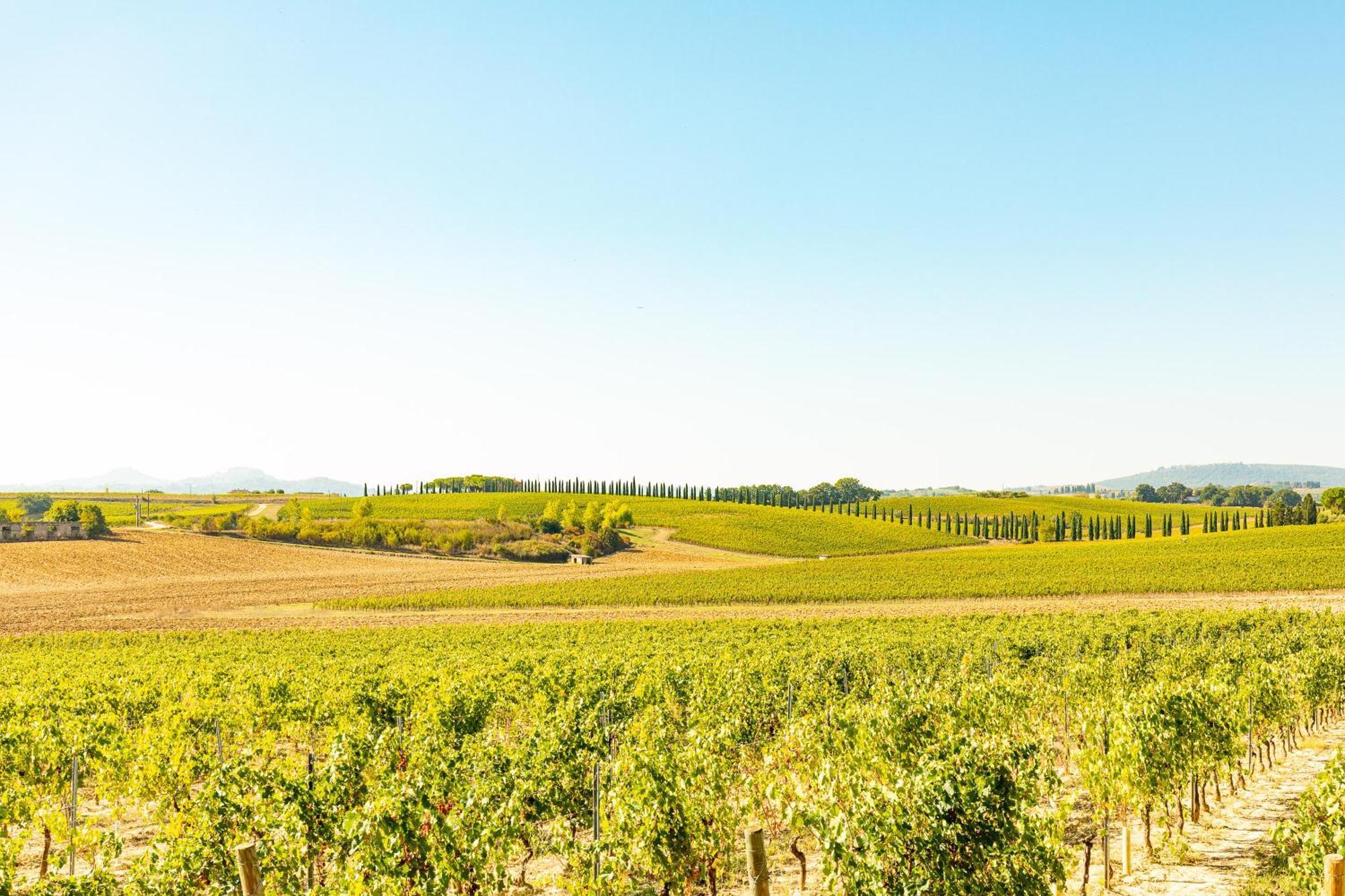 Vermentino Villa Montepulciano Exterior photo