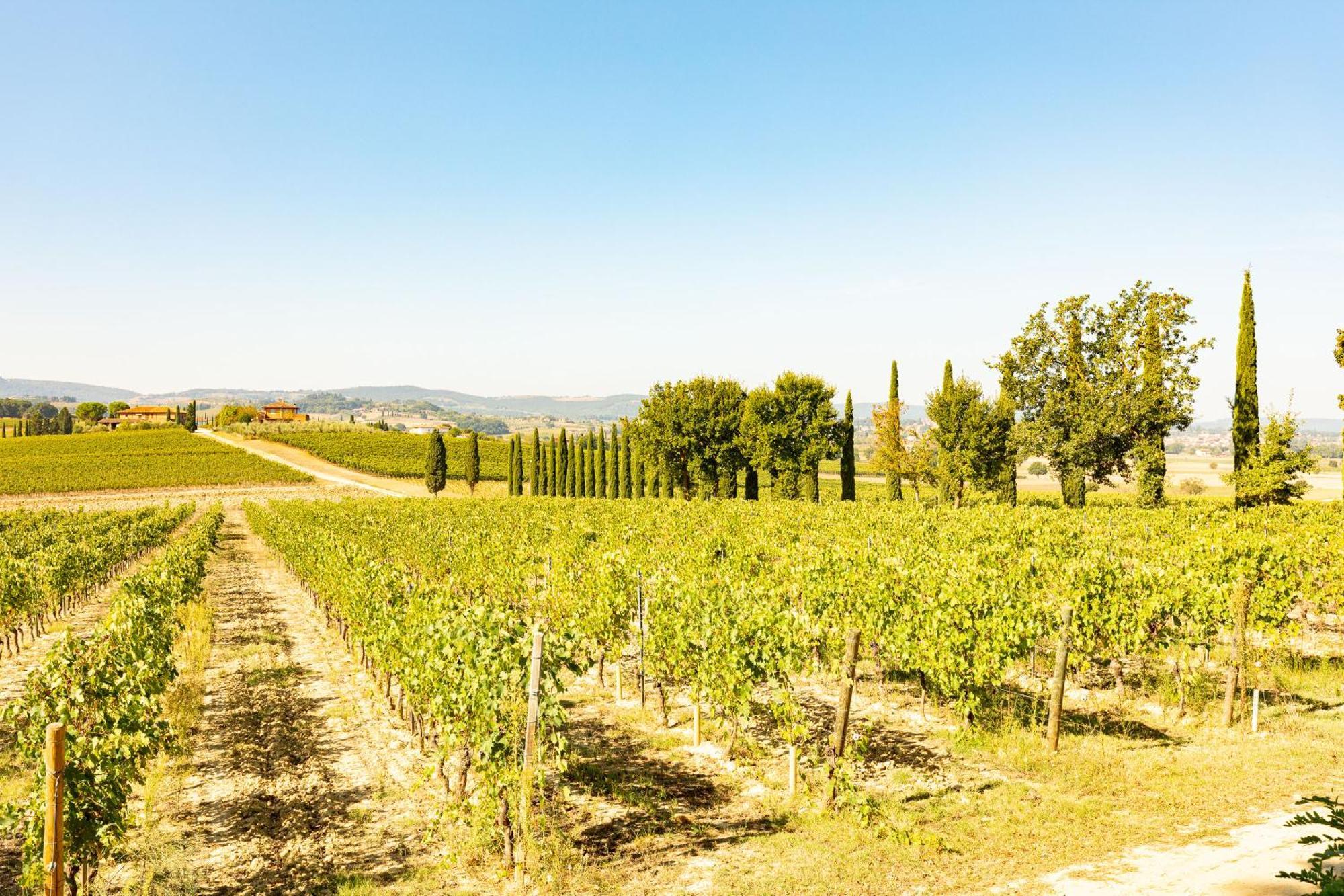 Vermentino Villa Montepulciano Exterior photo